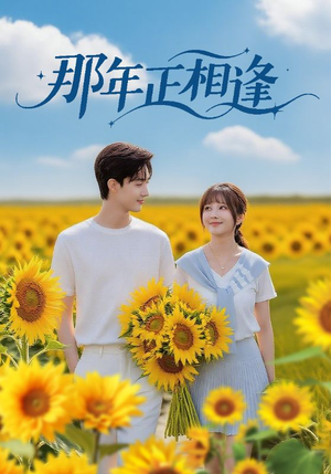 那年正相逢(60集) 那年正相逢(60集)短剧免费看