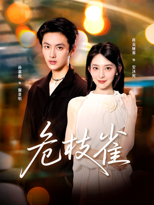 危枝雀（64集）全季一次看完