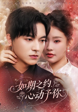 如期之约心动予你(82集) 如期之约心动予你(82集)短剧全集完整