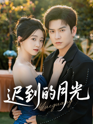 迟到的月光(80集) 迟到的月光(80集)高清无码免费看