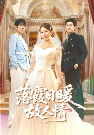 落霞日暖故人情（85集）免费观看