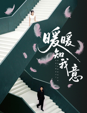 暖暖知我意（61集）全集下载