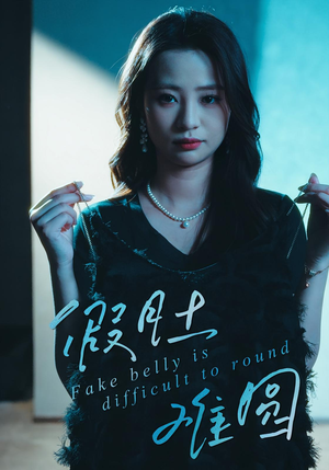 假肚难圆(30集) 假肚难圆(30集)精彩不断免费看