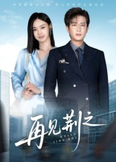 再见荆之(60集) 再见荆之(60集)热门了短剧