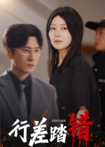 行差踏错（61集）短剧热播中