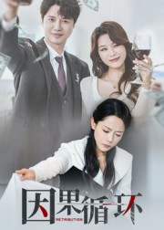 因果循环（45集）全集都在这里了