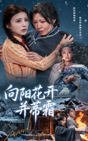 向阳花开并蒂霜（60集）短剧精彩不断