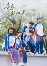 青春不期而遇（50集）百度网盘资源