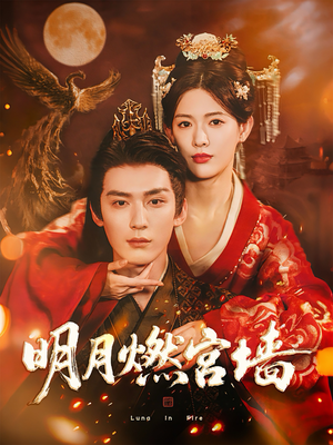 明月燃宫墙（60集）热播短剧来袭