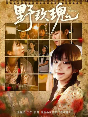 野玫瑰(82集) 野玫瑰(82集)第二季