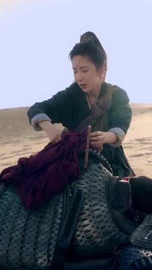 我为将军披战袍（69集）哪个短剧网能看