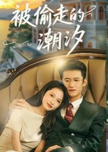 被偷走的潮汐（60集）热门爆款短剧