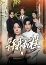 许我折桂（70集）精彩短剧热播