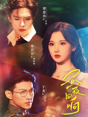 昼夜回响（76集）热门短剧推广