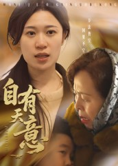自有天意（35集）百度网盘资源