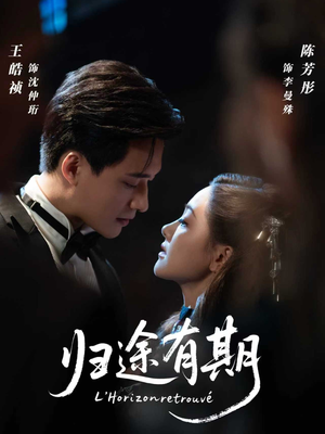 归途有期(60集) 归途有期(60集)演的怎么样