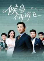 候鸟不再南飞(80集) 候鸟不再南飞(80集)无需充值尽情看