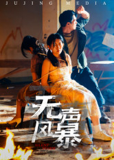 无声风暴(33集) 无声风暴(33集)全集免费看短剧