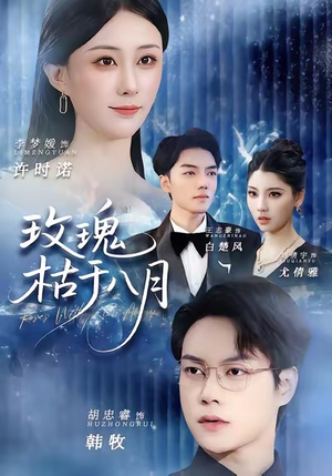 玫瑰枯于八月（80集）短剧演员排行榜