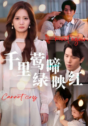 千里莺啼绿映红(63集) 千里莺啼绿映红(63集)甜宠短剧追到爽