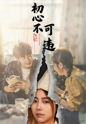 初心不可违(62集) 初心不可违(62集)短剧解说全集