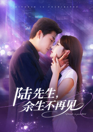 陆先生，余生不再见（88集）红果免费短剧