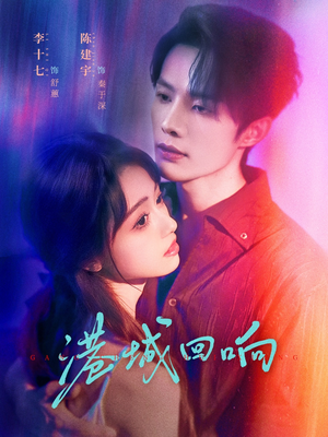 港城回响（79集）全网独播免费看