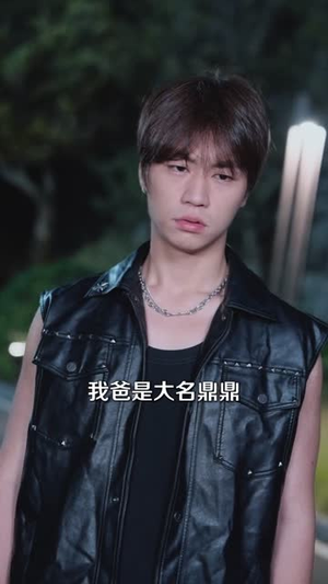 傻大川的乡村绝美生活(75集) 傻大川的乡村绝美生活(75集)短剧热门合集