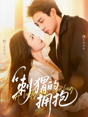 刺猬的拥抱（71集）精彩片段