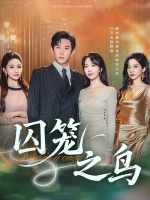 囚笼之鸟（52集）在哪看