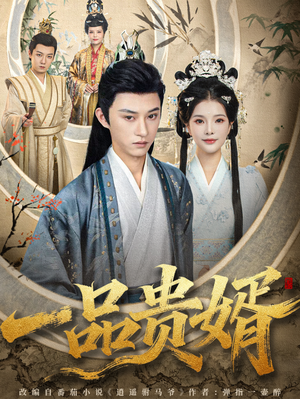 一品贵婿（80集）免费观看完整版