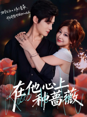 在他心上种蔷薇（81集）一口气看完