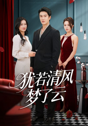 犹若清风梦了云(66集) 犹若清风梦了云(66集)第三季