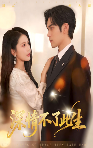 深情不了此生 （60集）80到100集