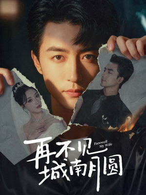 再不见城南月圆（60集）评价怎么样