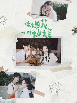 像烟花一样灿烂（60集）短剧免费看