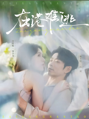 在港难逃(75集) 在港难逃(75集)短剧全集完整版