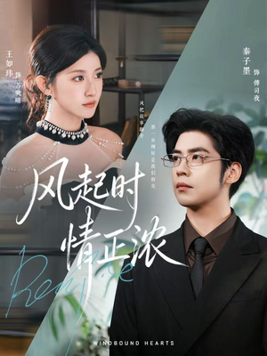 风起时情正浓（79集）大结局完美收官