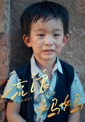 流浪妈妈（30集）在哪看是免费的