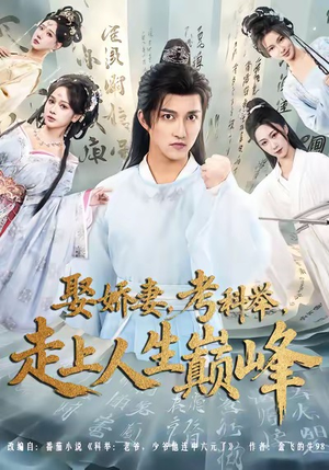 娶娇妻，考科举，走上人生巅峰（80集）悬疑短剧推荐