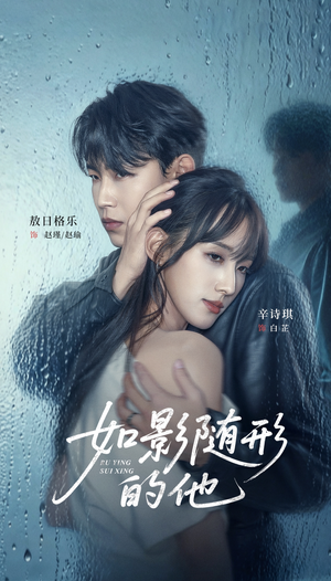 如影随形的他(30集) 如影随形的他(30集)超火短剧抢先看