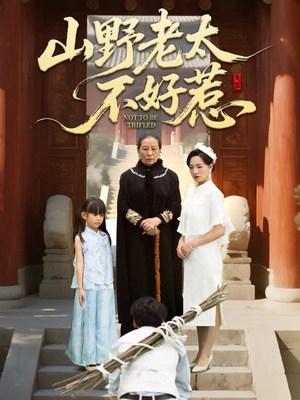 奶奶一脚震全城(64集) 奶奶一脚震全城(64集)精彩好看短剧