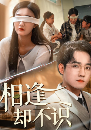 相逢却不识(77集) 相逢却不识(77集)精彩短剧上线