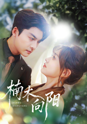 楠木向阳(70集) 楠木向阳(70集)好看的短剧推荐