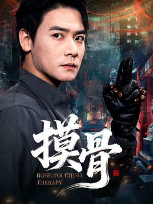 摸骨（74集）口碑爆棚免费看