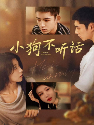 小狗不听话（70集）短剧更新抢先看
