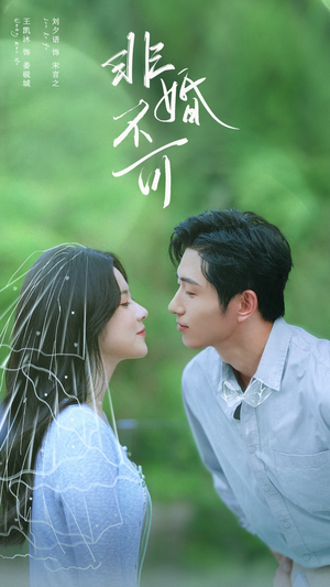 非婚不可(65集) 非婚不可(65集)热播短剧排行榜