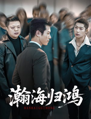 瀚海归鸿（74集）短剧免费看