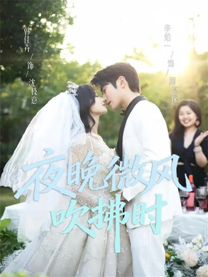 夜晚微风吹拂时（61集）短剧热播中