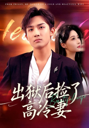 出狱后捡了高冷妻(71集) 出狱后捡了高冷妻(71集)热门短剧榜单